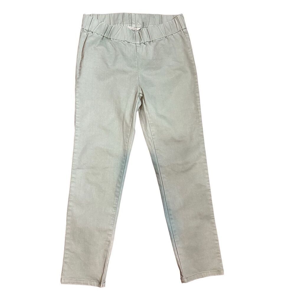 Soft Surroundings Mint Green Pull On High Rise Skinny Jeggings Sz PS